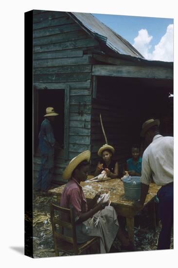 Men Watch Three Young Women Pluck Feathers from Chickenss, Edisto Island, South Carolina, 1956-Walter Sanders-Premier Image Canvas