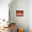 Menage A Trois Orange Cat-Stephen Huneck-Premier Image Canvas displayed on a wall