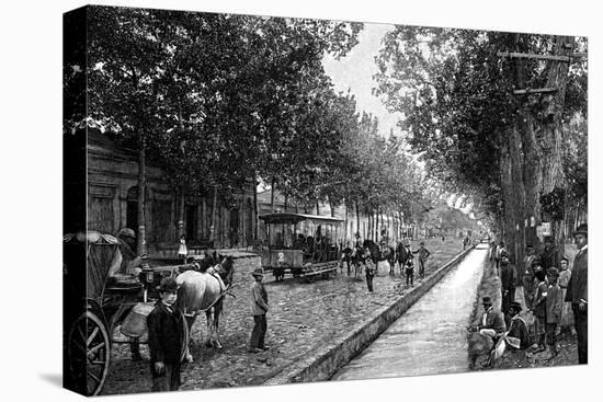 Mendoza, Argentina, 1895-null-Premier Image Canvas