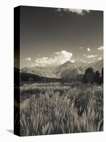 Mendoza Province, Uspallata, Andes Mountains and Rio Mendoza River, Argentina-Walter Bibikow-Premier Image Canvas