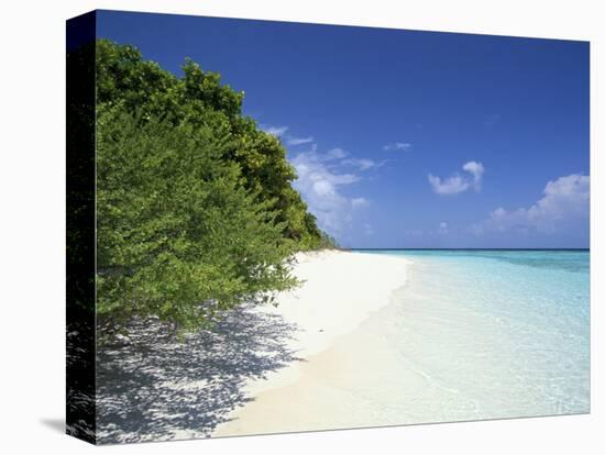 Mendu Island, Baa Atoll, Maldives, Indian Ocean-Sergio Pitamitz-Premier Image Canvas