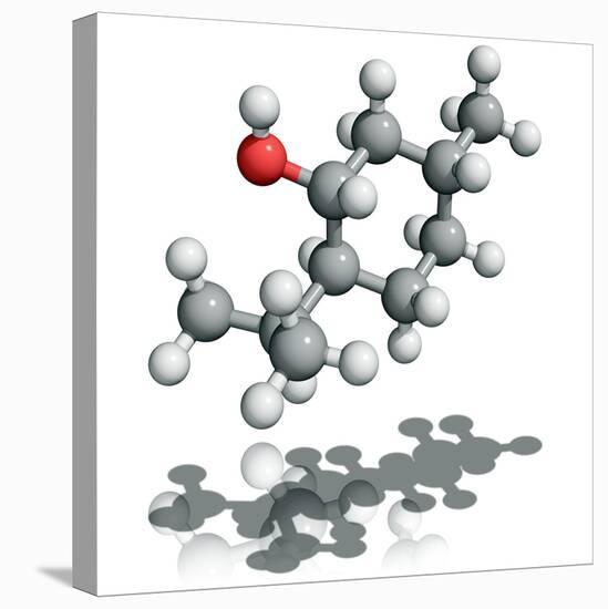 Menthol Molecule-Laguna Design-Premier Image Canvas