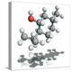 Menthol Molecule-Laguna Design-Premier Image Canvas
