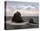 Meoto-Iwa (Wedded Rocks), Central Honshu, Japan-Gavin Hellier-Premier Image Canvas