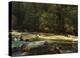 Merced River flowing through the valley floor, Yosemite National Park, California-Tim Fitzharris-Stretched Canvas