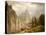Merced River, Yosemite Valley, 1866-Albert Bierstadt-Premier Image Canvas