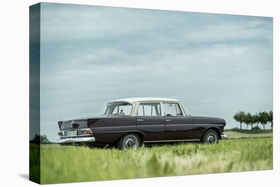 Mercedes 200, Type W 110, Year of Manufacture 1966, 95 Hp-Bernd Wittelsbach-Premier Image Canvas