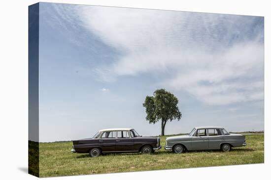 Mercedes 220 Sb, Type W 111, Year of Manufacture 1963, 105 Hp, and Mercedes 200-Bernd Wittelsbach-Premier Image Canvas