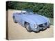 Mercedes 300SL Roadster, C1960-null-Premier Image Canvas