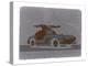 Mercedes Benz 300-NaxArt-Stretched Canvas