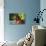 Mercurio 004-Bob Langrish-Premier Image Canvas displayed on a wall