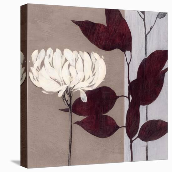 Merlot Inspiration-Ivo-Stretched Canvas