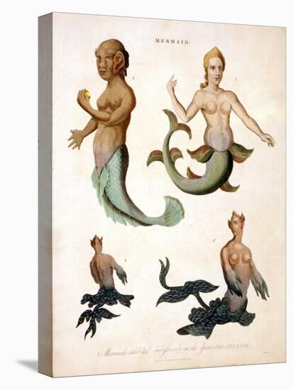 Mermaid, from Encyclopaedia Londinensis, 1817-J. Pass-Premier Image Canvas