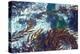 Mermaid Tresses I-Rita Crane-Stretched Canvas