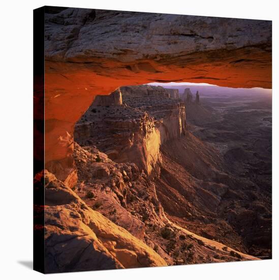 Mesa Arch, Canyonlands National Park, Utah, United States of America (U.S.A.), North America-Tony Gervis-Premier Image Canvas