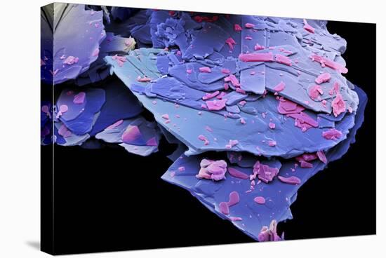 Mescaline Crystals, SEM-David McCarthy-Premier Image Canvas