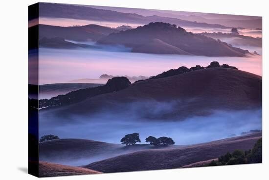 Mesmerizing Morning Hills and Fog, Petaluma California-Vincent James-Premier Image Canvas