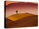 Mesquite Flat Dunes at Death Vakkey National Park-Gleb Tarro-Premier Image Canvas