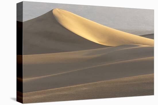 Mesquite Flat Sand Dunes at Dawn, Death Valley, California-Rob Sheppard-Premier Image Canvas