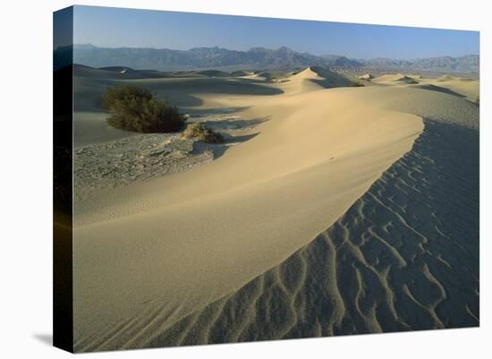 Mesquite Flat Sand Dunes, Death Valley National Park, California-Tim Fitzharris-Stretched Canvas