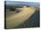 Mesquite Flat Sand Dunes, Death Valley National Park, California-Tim Fitzharris-Stretched Canvas