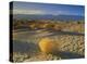 Mesquite Flat Sand Dunes, Death Valley National Park, California-Tim Fitzharris-Stretched Canvas