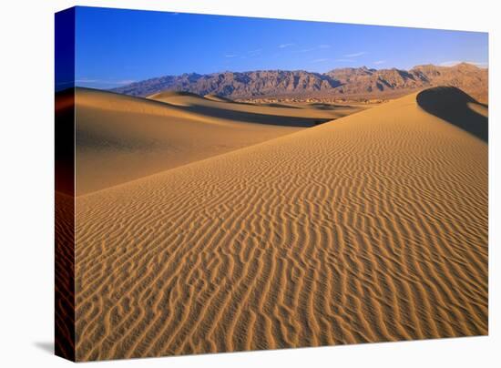 Mesquite Flat Sand Dunes, Death Valley National Park, California-Tim Fitzharris-Stretched Canvas