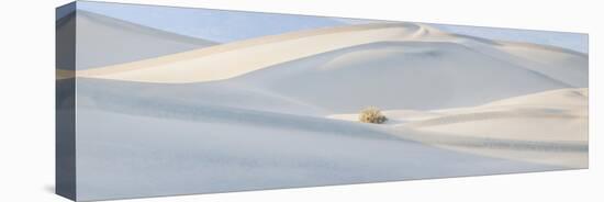 Mesquite Flats Dunes, Death Valley National Park, California, USA-Panoramic Images-Premier Image Canvas