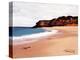 Messages in Bottles on Beach-Colin Anderson-Premier Image Canvas