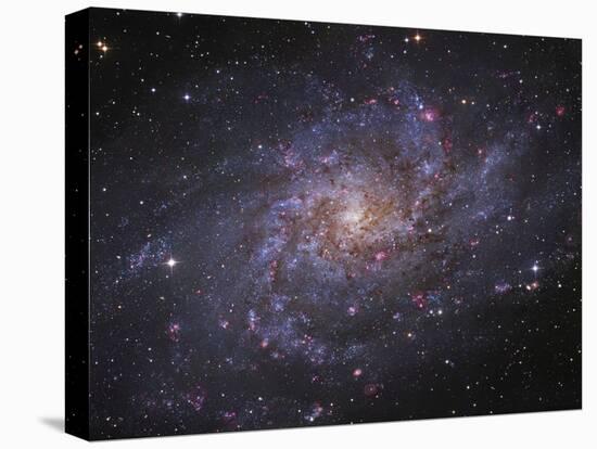 Messier 33, Spiral Galaxy in Triangulum-Stocktrek Images-Premier Image Canvas