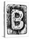Metal Alloy Alphabet Letter B-donatas1205-Stretched Canvas