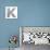 Metal Alloy Alphabet Letter K-donatas1205-Stretched Canvas displayed on a wall