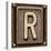 Metal Button Alphabet Letter R-donatas1205-Stretched Canvas