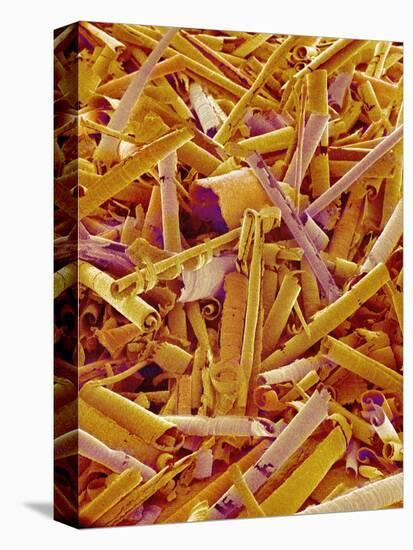 Metal Shavings-Micro Discovery-Premier Image Canvas