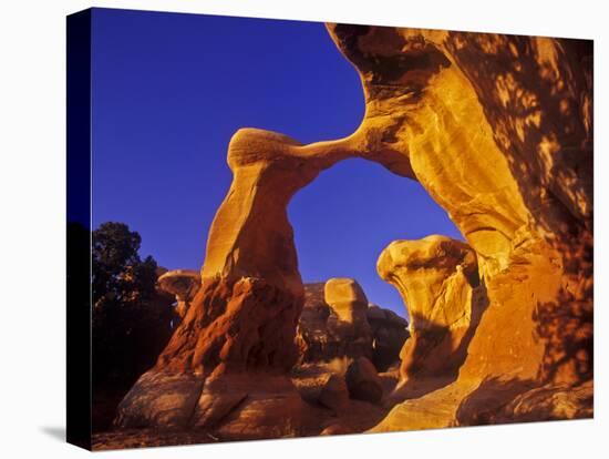 Metate Arch in the Devils Garden, Grand Staircase Escalante, Utah-Chuck Haney-Premier Image Canvas