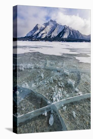 Methane bubbles frozen in ice, Abraham Lake, Alberta, Canada-Panoramic Images-Premier Image Canvas