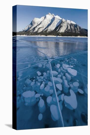 Methane bubbles frozen in ice below Mt. Michener, Abraham Lake, Alberta, Canada-Panoramic Images-Premier Image Canvas