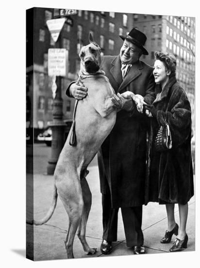 Metropolitan Opera's Helden Tenor Lauritz Melchior with Wife, Petting His Great Dane Dog on Street-Nina Leen-Premier Image Canvas