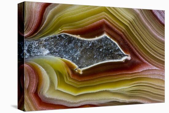 Mexican Banded Agate Quartzsite, Arizona-Darrell Gulin-Premier Image Canvas