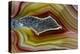 Mexican Banded Agate Quartzsite, Arizona-Darrell Gulin-Premier Image Canvas