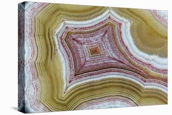 Mexican Banded Agate Quartzsite, Arizona-Darrell Gulin-Premier Image Canvas