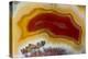 Mexican Banded Agate Quartzsite, Arizona-Darrell Gulin-Premier Image Canvas