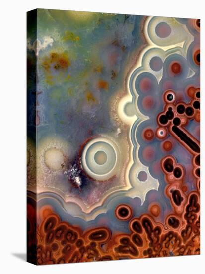 Mexican Crazy Lace Agate-Steve Terrill-Premier Image Canvas