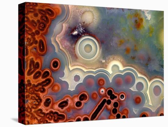 Mexican Crazy Lace Agate-Steve Terrill-Premier Image Canvas