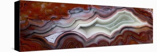 Mexican Crazy Lace Agate-Darrell Gulin-Premier Image Canvas