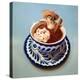 Mexican Hot Chocolate-Lucia Heffernan-Stretched Canvas