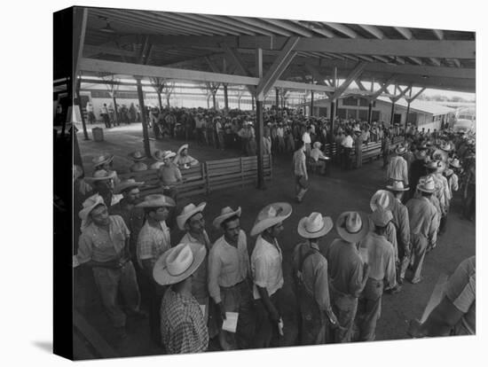 Mexican Migrant Farm Workers Lined Up for Work Interviews and to Sign Job Contracts-null-Premier Image Canvas