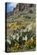 Mexican Poppies, Prickly-Pear and Other Chihuahuan Desert Plants in Rockhound State Park, NM-null-Premier Image Canvas