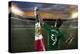 Mexican Soccer Player-Beto Chagas-Premier Image Canvas