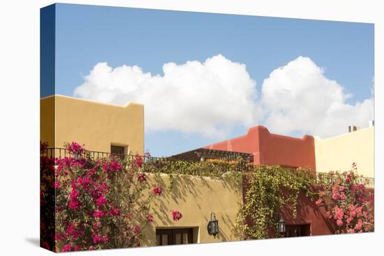 Mexico, Baja California Sur, Loreto Bay. Bougainvillea and clouds-Trish Drury-Premier Image Canvas